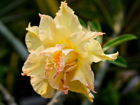 Szakszerű Tippek a Férfi Etrend-kiegészítőkhöz Szakszerű Tippek a Férfi Etrend-kiegészítőkhöz