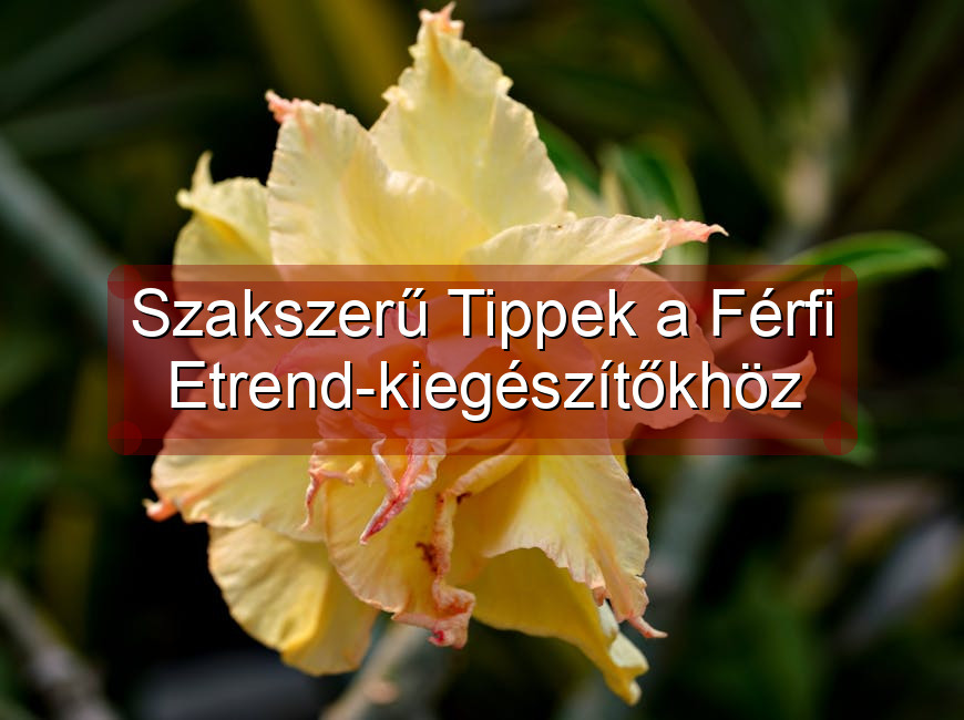 Szakszerű Tippek a Férfi Etrend-kiegészítőkhöz